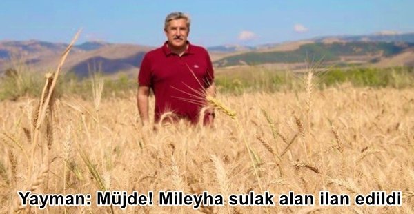 Yayman: Müjde! Mileyha sulak alan ilan edildi