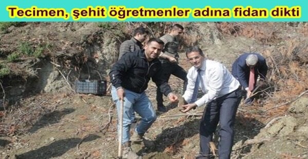 Tecimen, şehit öğretmenler adına fidan dikti