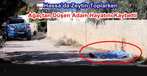 Hassa’da Zeytin Toplarken Ağaçtan Düşen Adam Hayatını Kaybetti