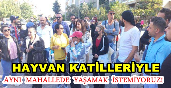 ZEHİRLENEREK ÖLDÜRÜLEN KEDİ VE KÖPEKLER MAHALLELİYİ AYAĞA KALDIRDI