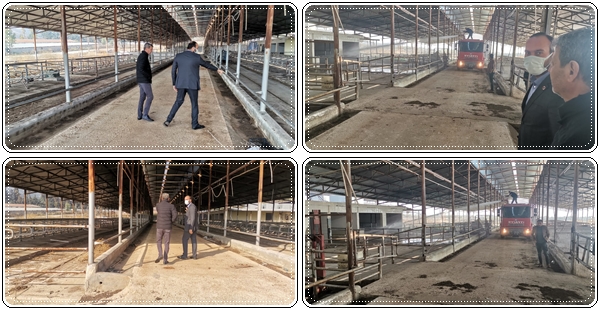 BAŞKAN YAVUZ; “İLÇEMİZE HAYVAN BARINAĞI KAZANDIRIYORUZ. HAYIRLI OLSUN”