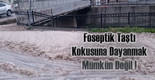 FOSEPTİK TAŞTI KOKUSUNA DAYANMAK MÜMKÜN DEĞİL!