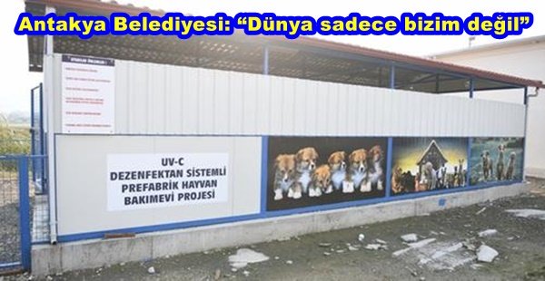 ANTAKYA BELEDİYESİ: “DÜNYA SADECE BİZİM DEĞİL”