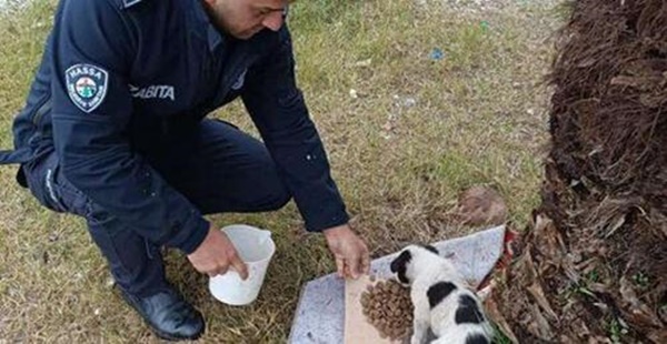 KARATAŞ, SOKAK HAYVANLARINA SAHİP ÇIKTI