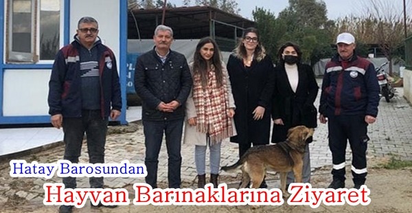 HATAY BAROSUNDAN HAYVAN BARINAKLARINA ZİYARET