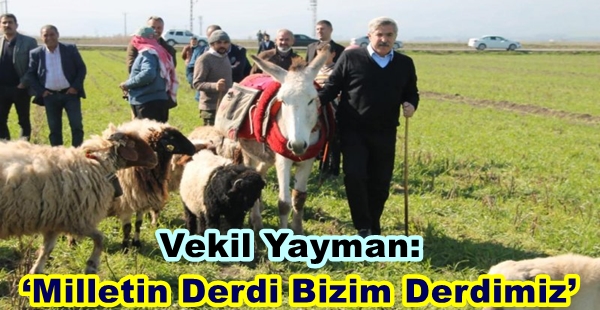 VEKİL YAYMAN: “MİLLETİN DERDİ BİZİM DERDİMİZ”