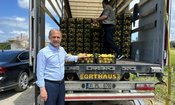 DEPREMZEDE ARSUZLU ÇİFTÇİLERİN LİMONLARI DALINDA KALMADI