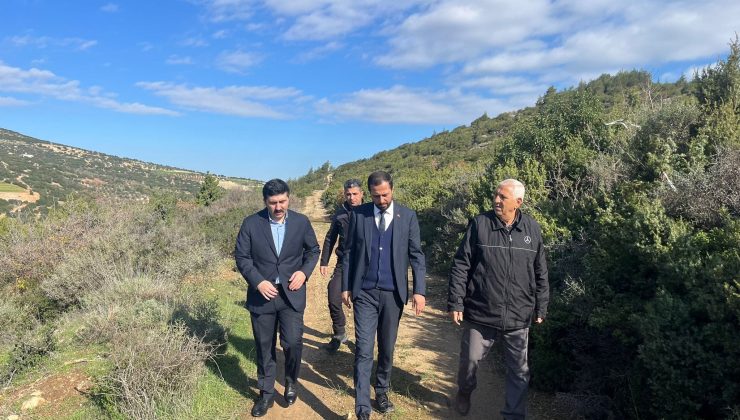 YALÇIN: YARINLAR SENİN YAYLADAĞI