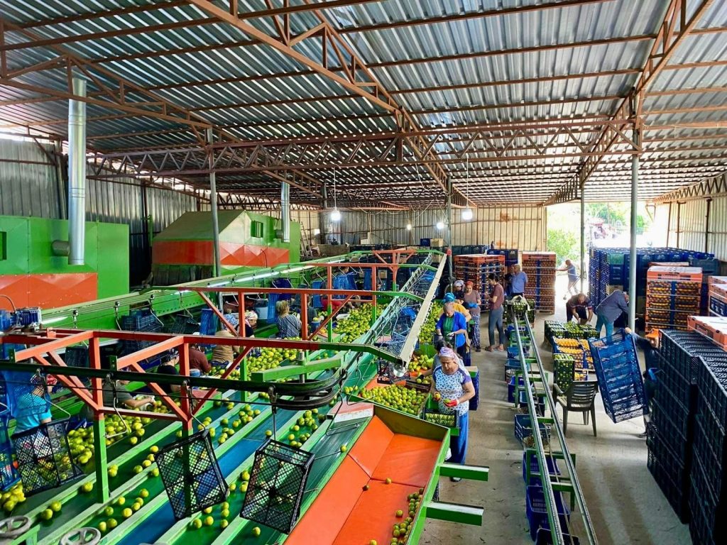 TARIM ORMAN MÜDÜRLÜĞÜ DENETİMLERİNİ SÜRDÜRÜYOR